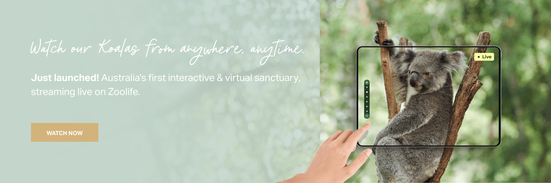 Main Landing Page Banner Zoolife Copy (1)