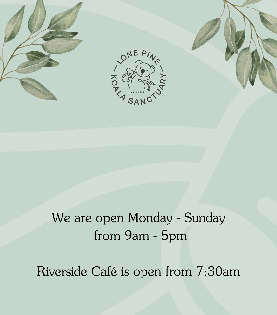 Mobile Template - Opening Hours