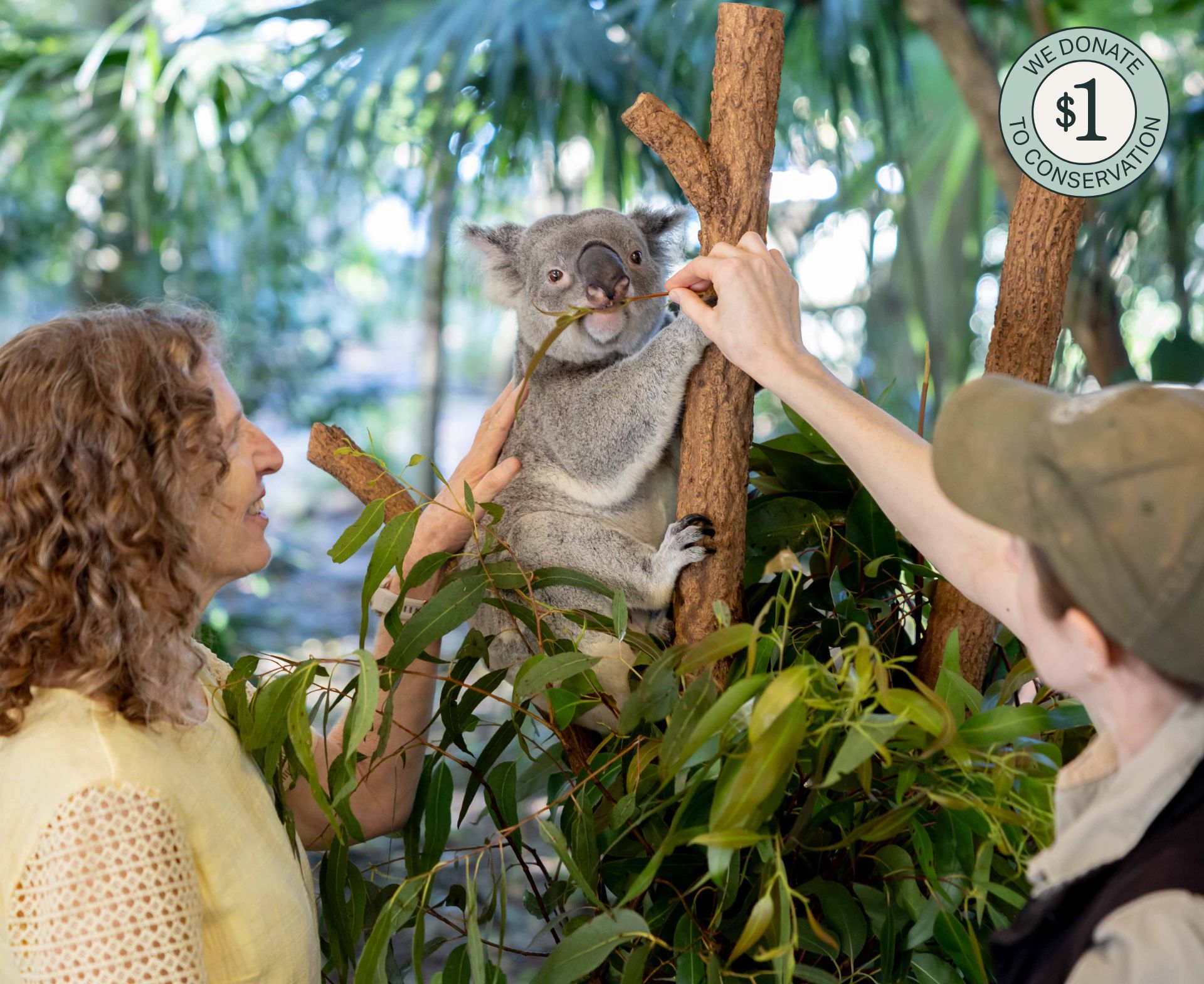 Photo Opportunities | Lone Pine Koala Sanctuary