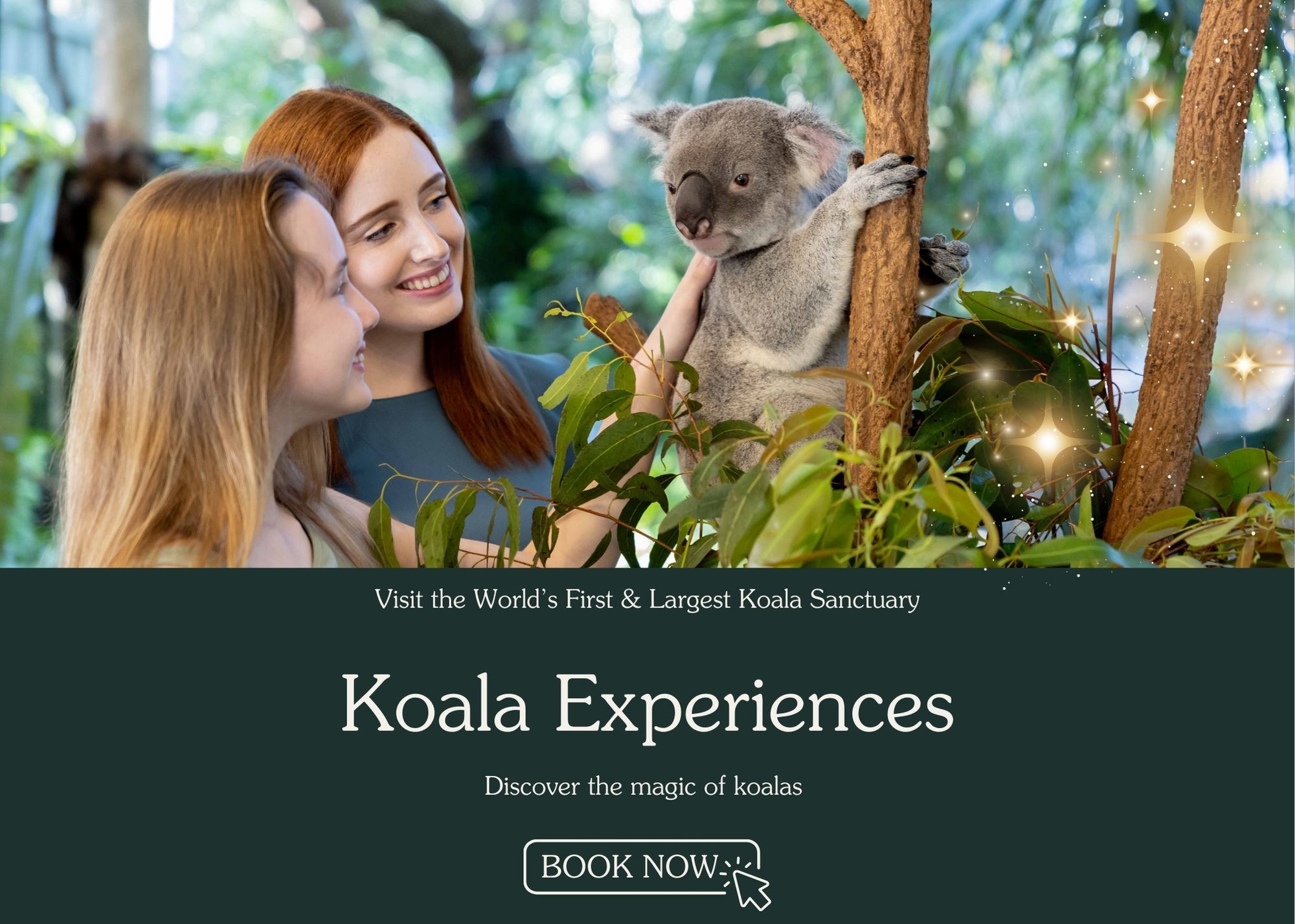 Lone Pine Koala Sanctuary | Discover Brisbane’s Koala Sanctuary ...