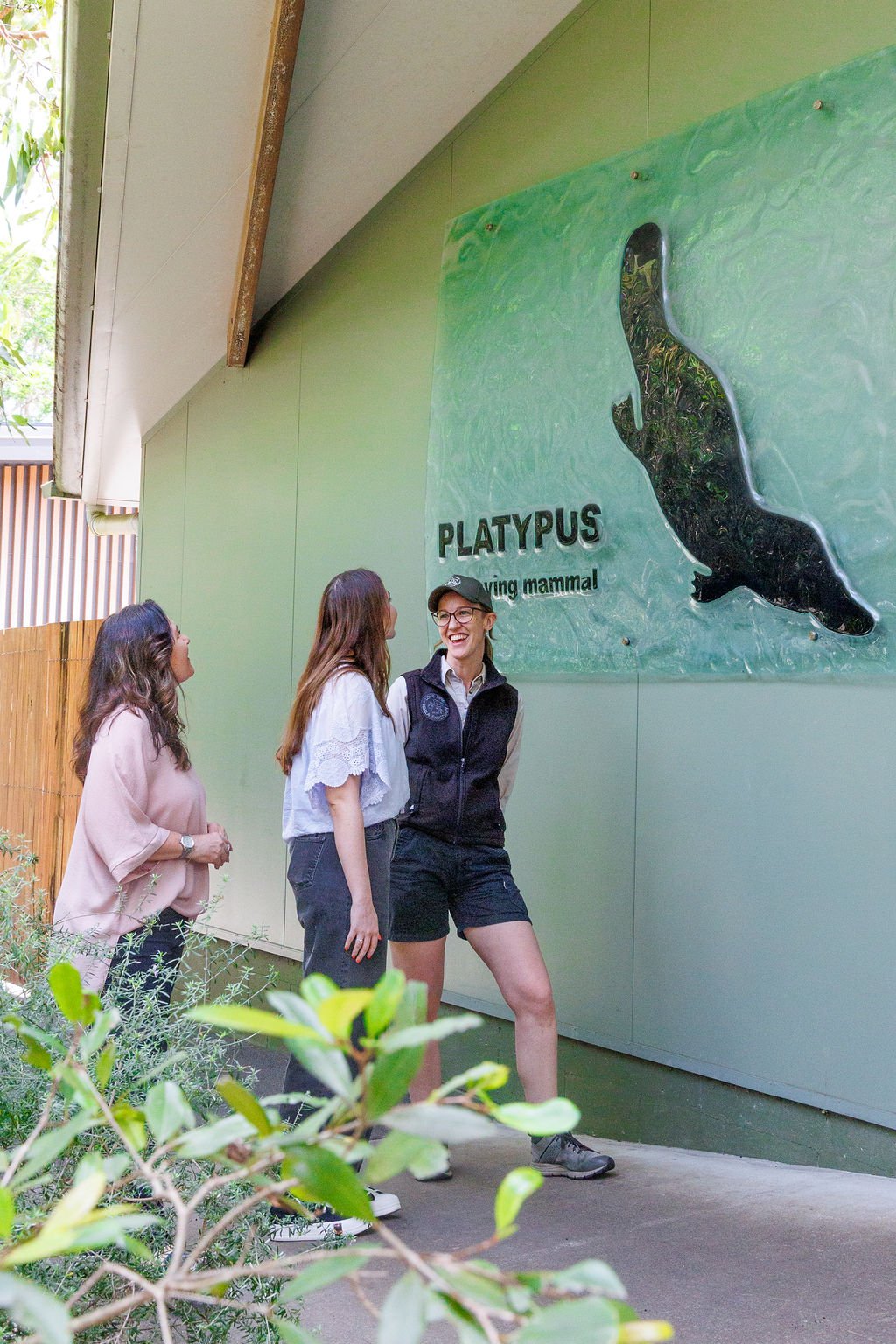 Platypus – Behind the Scenes