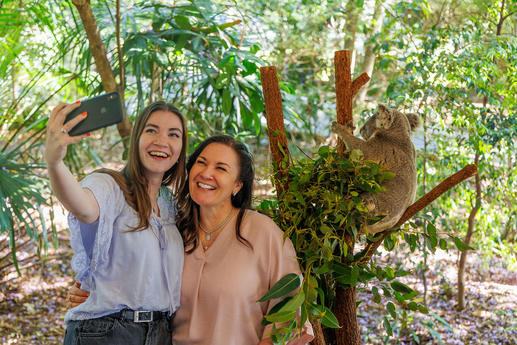 Koala Experiences – A unique wildlife experience | Lone Pine Koala ...