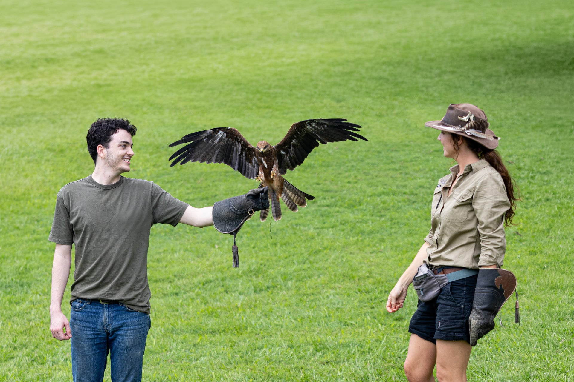 Raptor Encounter