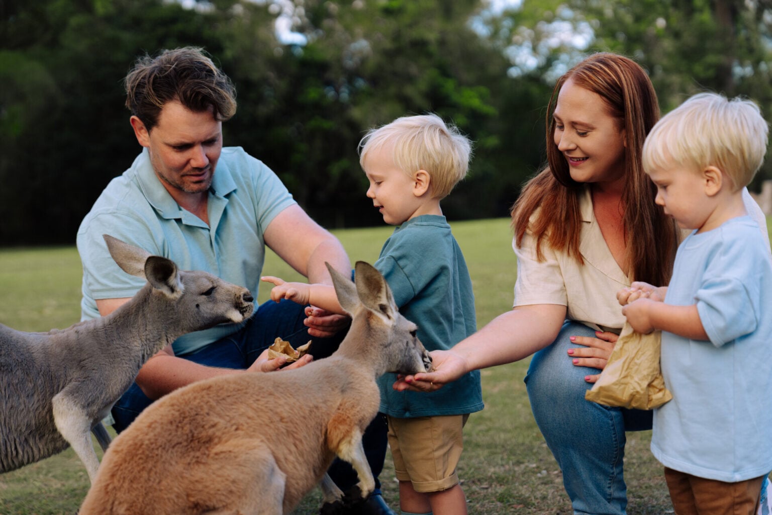 Yearly Pass | Lone Pine Koala Sanctuary