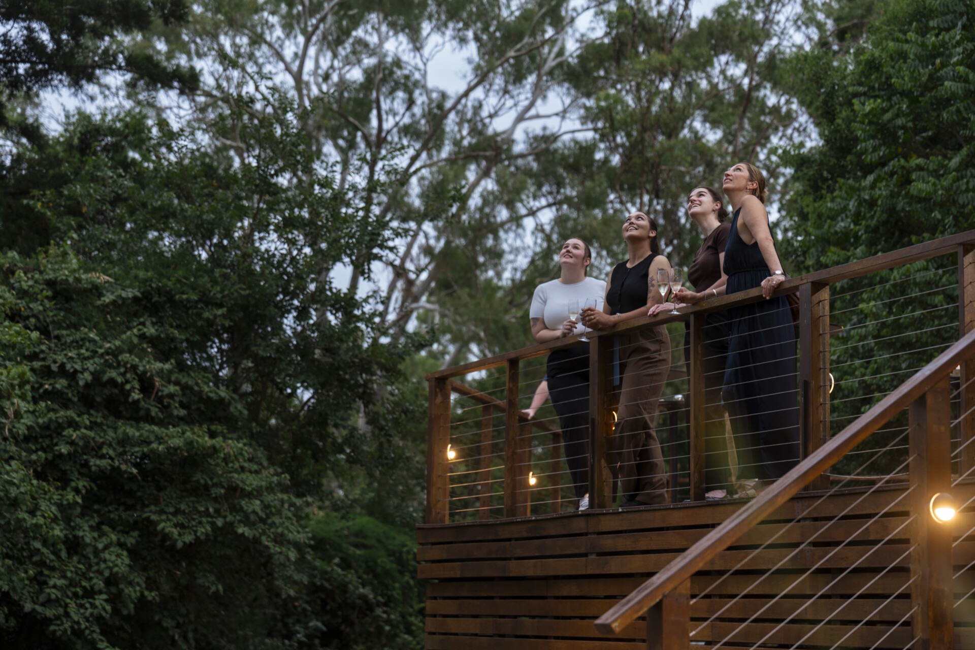 Corporate events at Lone Pine Koala Sanctuary