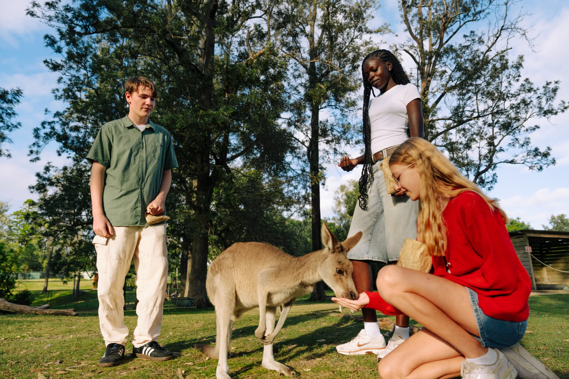 Visitors hand-feeding a kangaroo in the free range reserve.