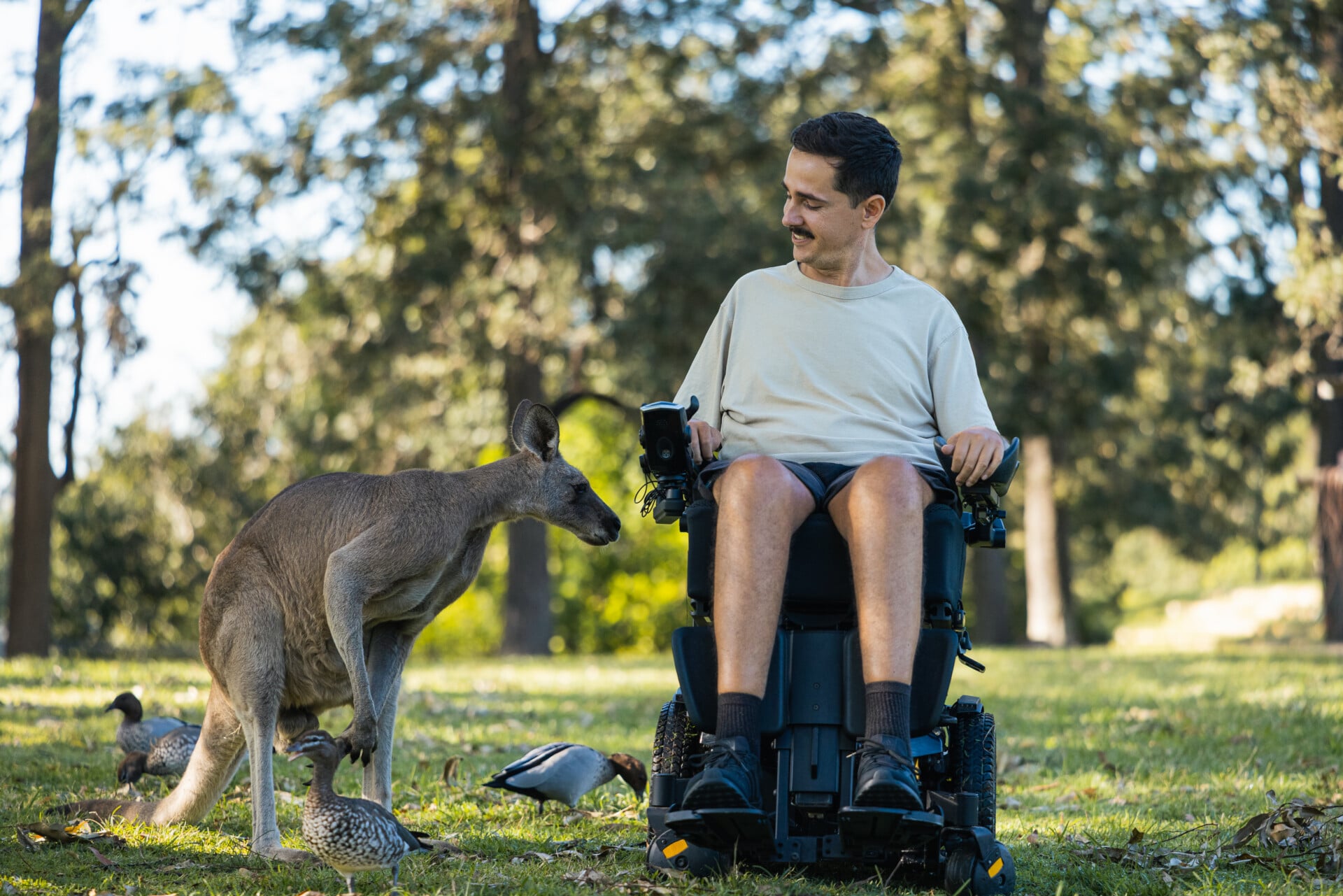 A man in a powerchair smiles at a kangaroo standing beside him on the lawn, with wood ducks nearby.