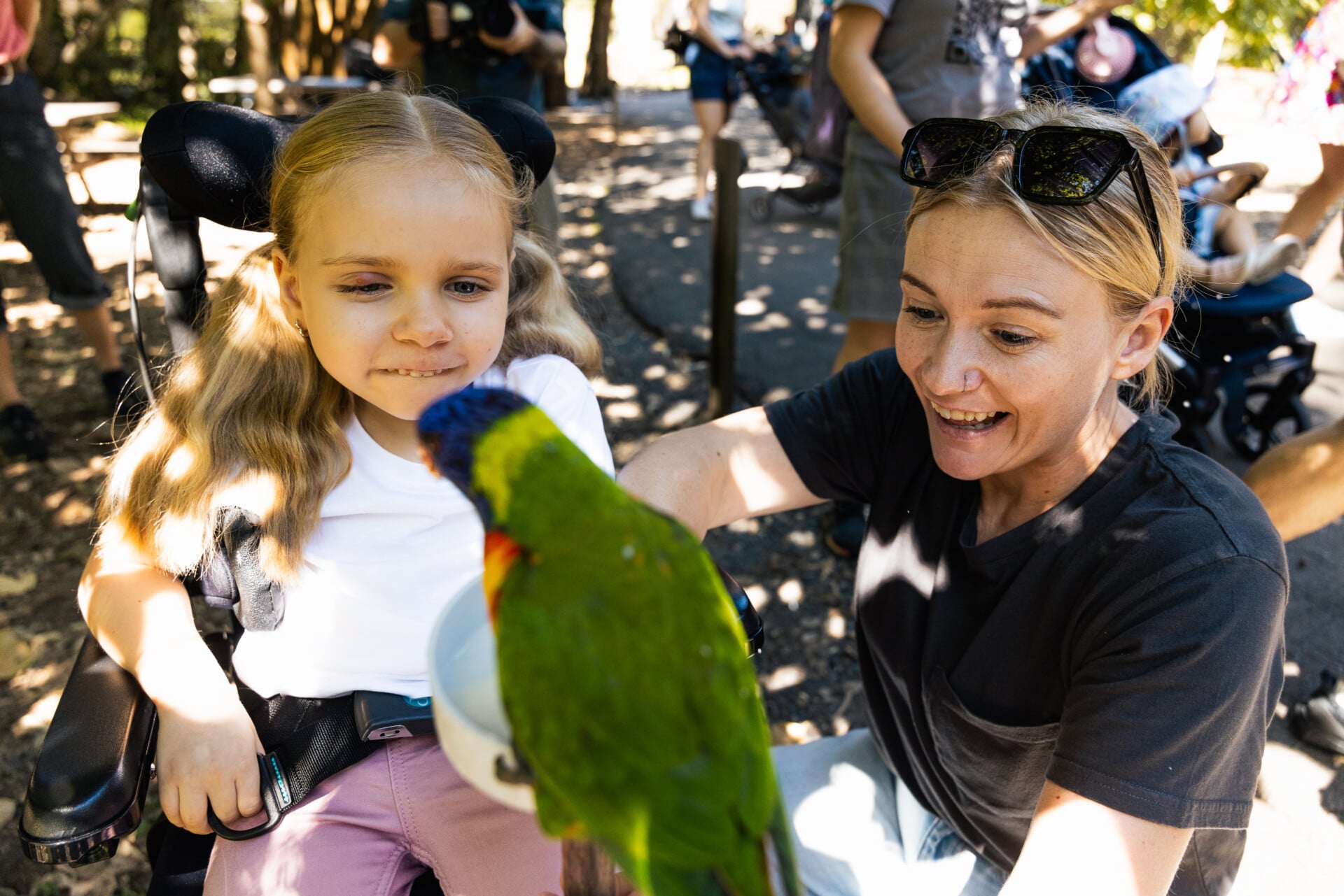 A woman helps a girl in a wheelchair feed a rainbow lorikeet.