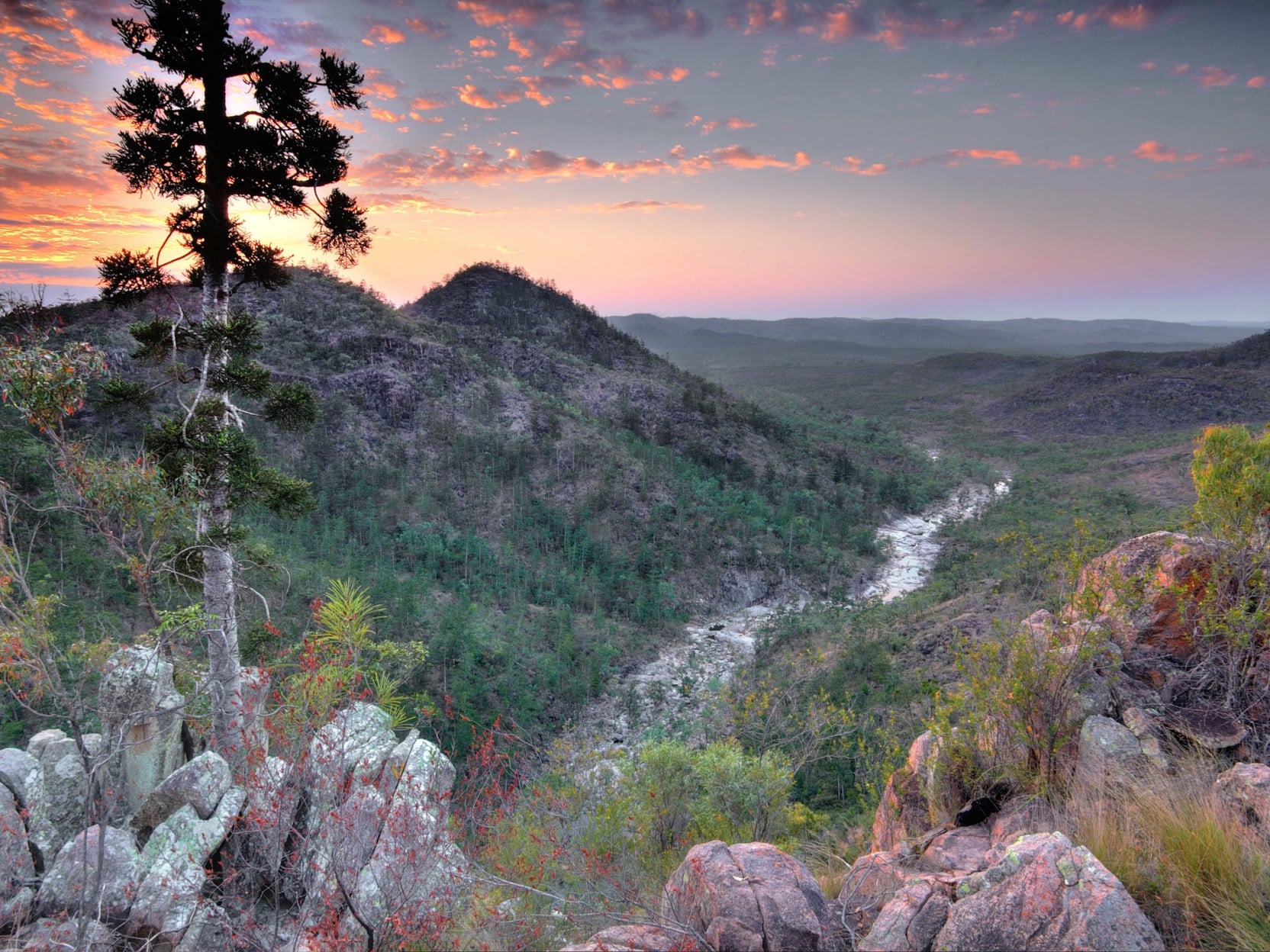 Mount Zero–Taravale Wildlife Sanctuary, Queensland