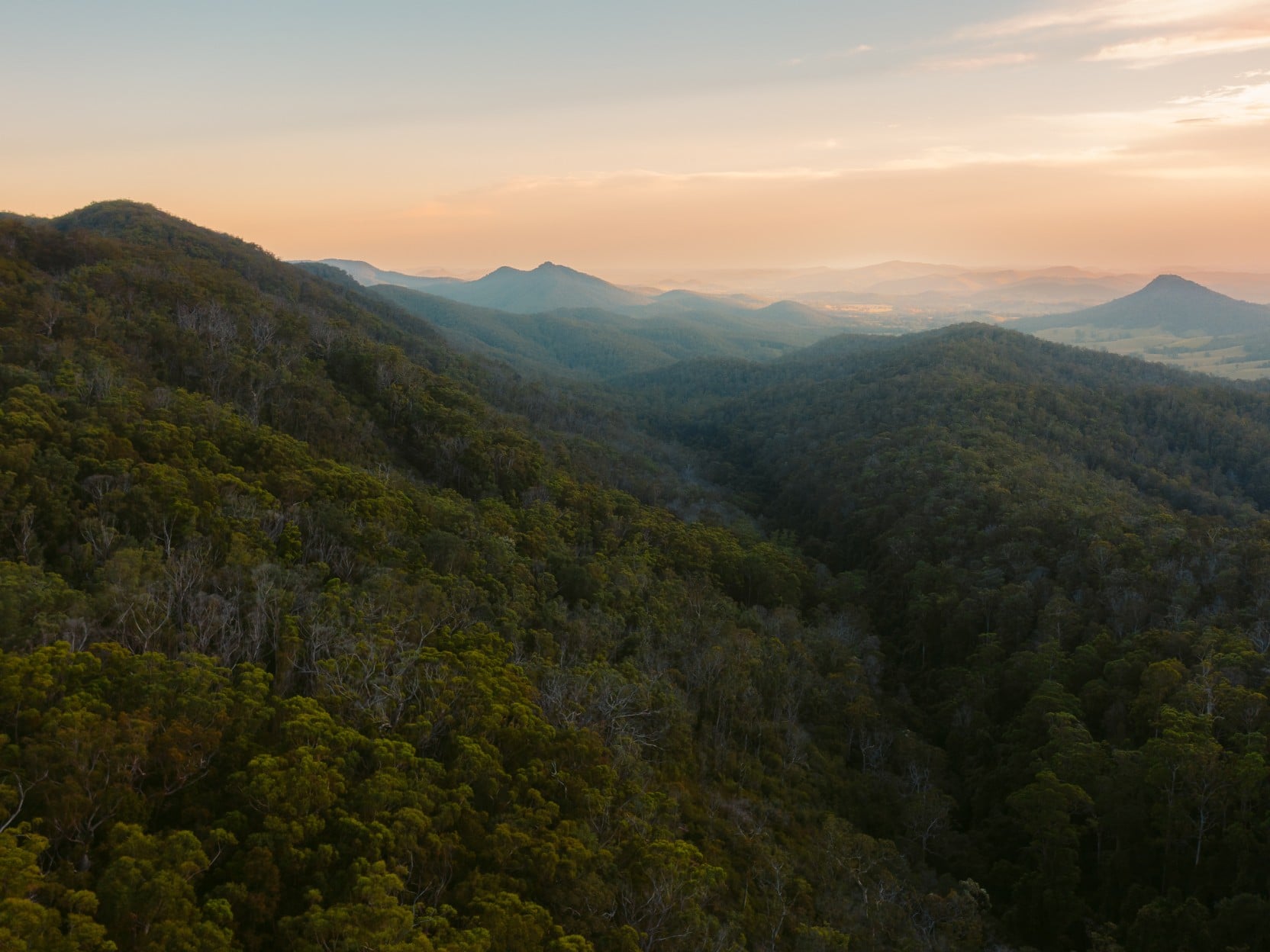 Waulinbakh Wildlife Sanctuary, New South Wales