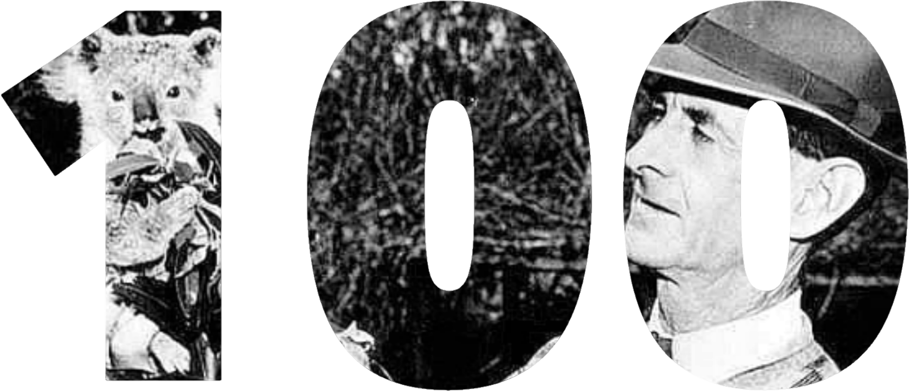 The numeral 100, filled with archive photographs of founder Claude Reid, a koala, and the bushland at Fig Tree Pocket