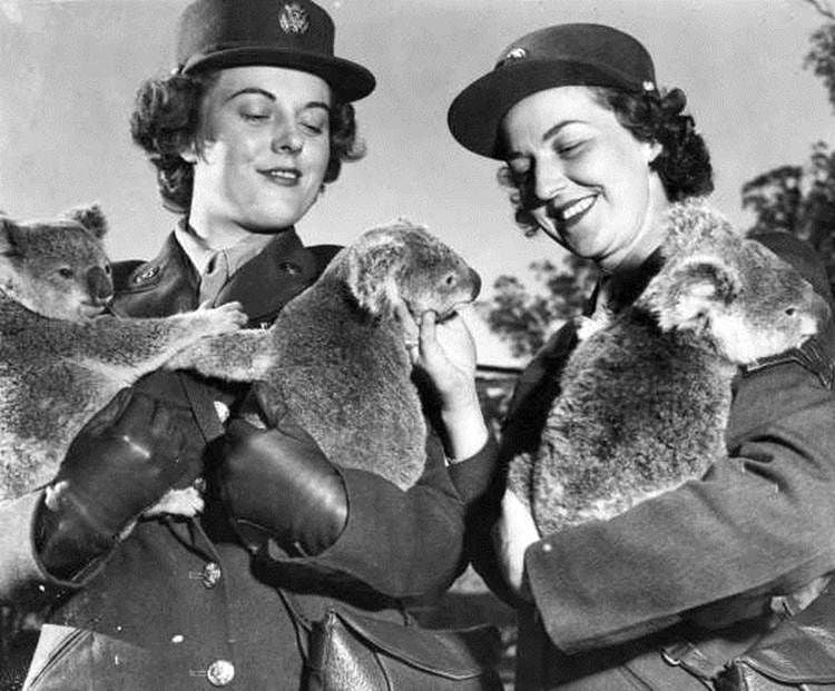 American WACs holding koalas at the sanctuary, 1944