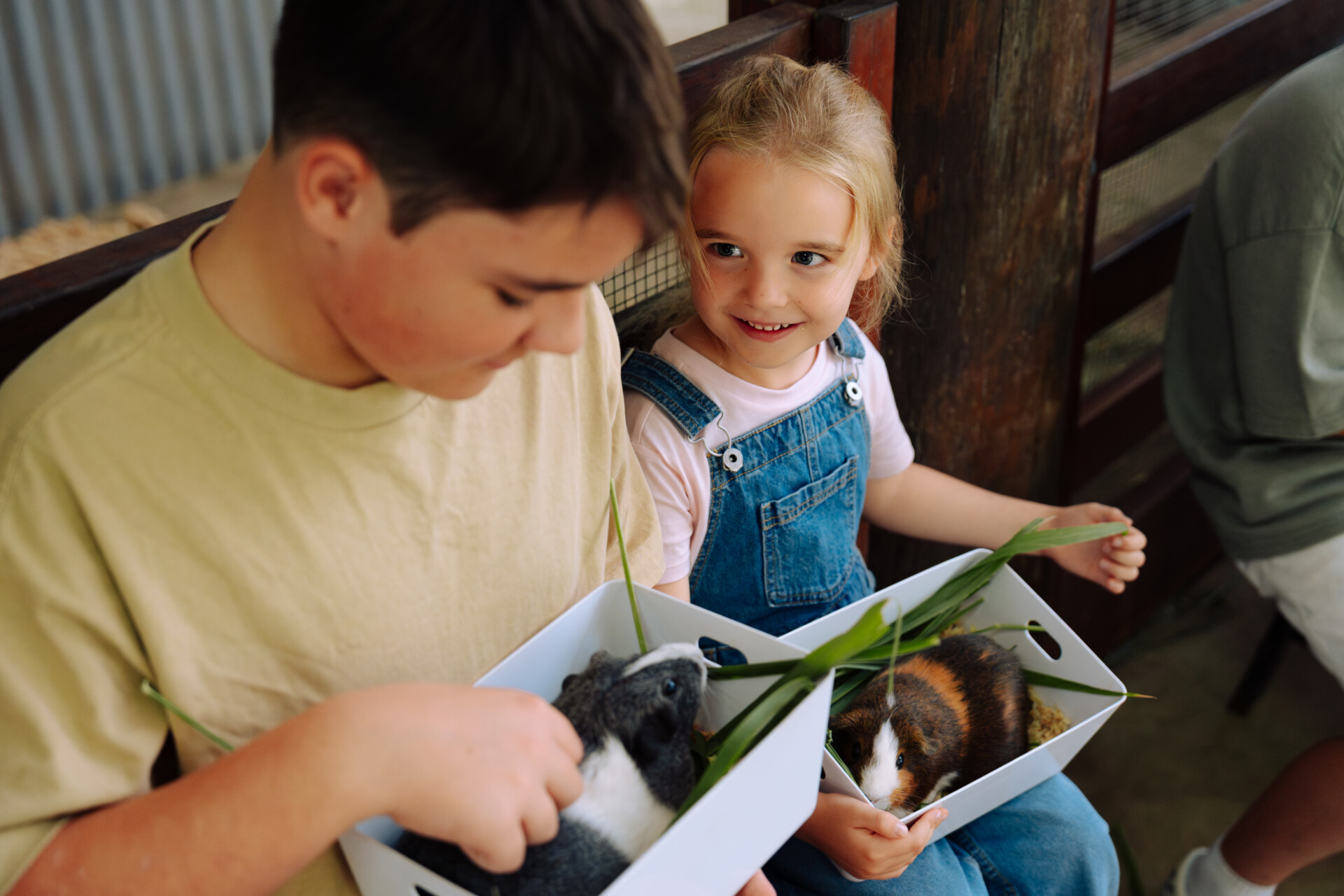 Child meeting barnyard animals during the Barn Encounter at Lone Pine Koala Sanctuary