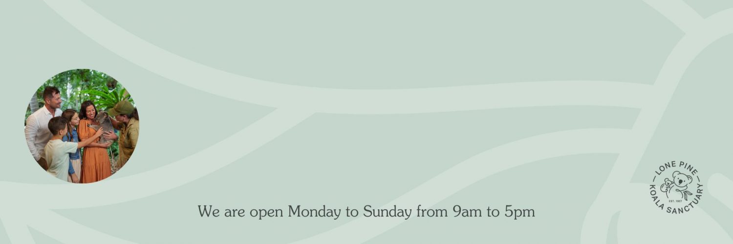 New Year Opening Banner (1)